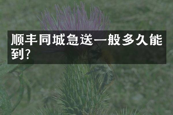 顺丰同城急送一般多久能到？