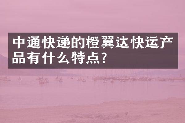 中通快递的橙翼达快运产品有什么特点？