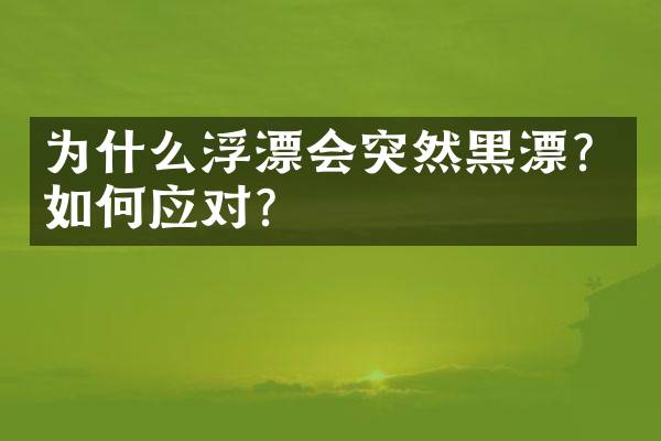 为什么浮漂会突然黑漂？如何应对？
