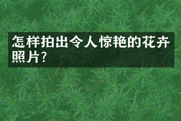怎样拍出令人惊艳的花卉照片？