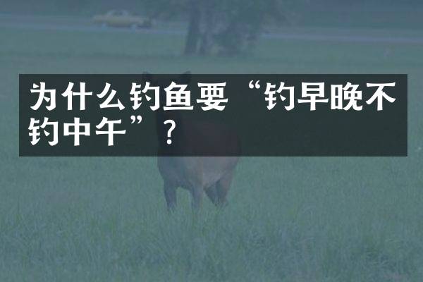 为什么钓鱼要&ldquo;钓早晚不钓中午&rdquo;？