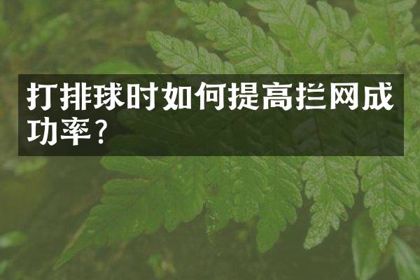 打排球时如何提高拦网成功率？