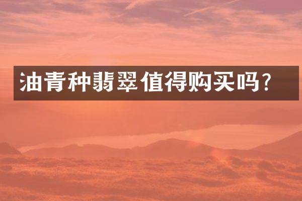 油青种翡翠值得购买吗？