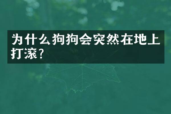 为什么狗狗会突然在地上打滚？