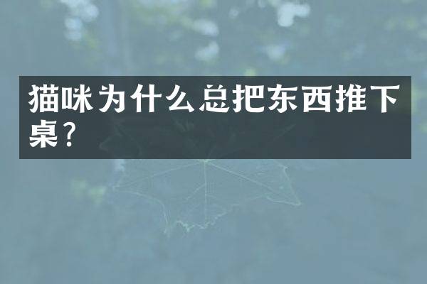 猫咪为什么总把东西推下桌？