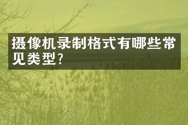 摄像机录制格式有哪些常见类型？