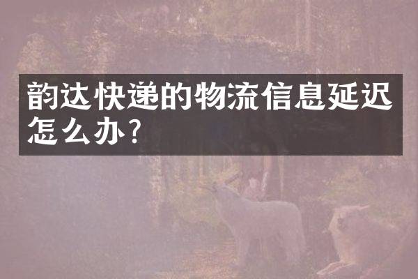韵达快递的物流信息延迟怎么办？