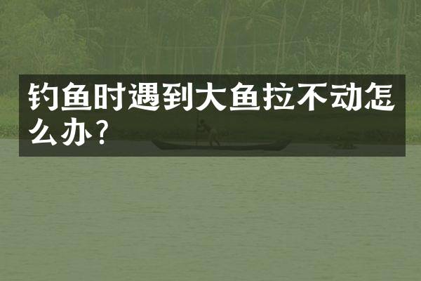 钓鱼时遇到大鱼拉不动怎么办？
