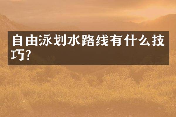 自由泳划水路线有什么技巧？