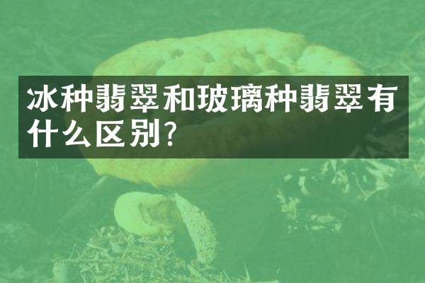 冰种翡翠和玻璃种翡翠有什么区别？