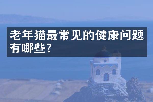 老年猫最常见的健康问题有哪些？