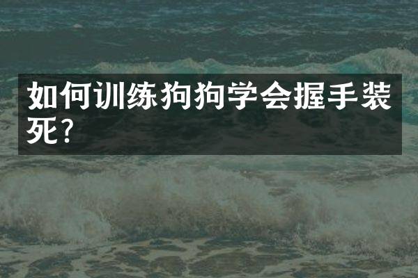 如何训练狗狗学会握手装死？