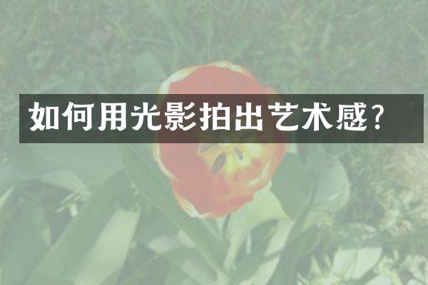 如何用光影拍出艺术感？