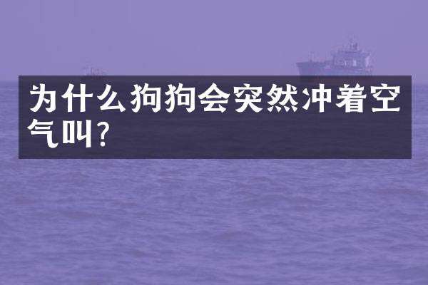 为什么狗狗会突然冲着空气叫？