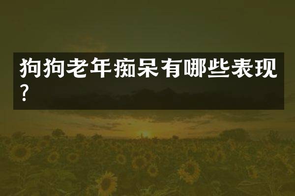 狗狗老年痴呆有哪些表现？
