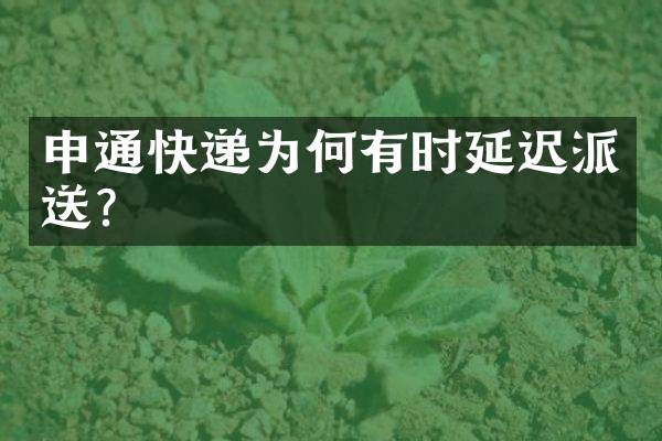 申通快递为何有时延迟派送？