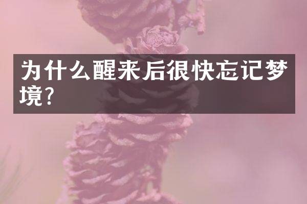 为什么醒来后很快忘记梦境？