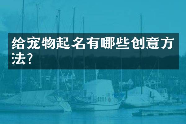 给宠物起名有哪些创意方法？