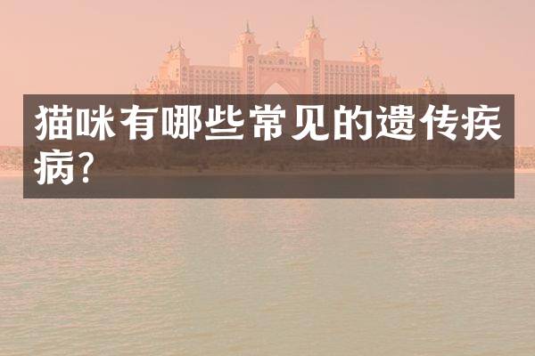 猫咪有哪些常见的遗传疾病？