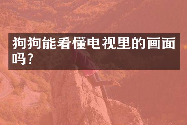 狗狗能看懂电视里的画面吗？