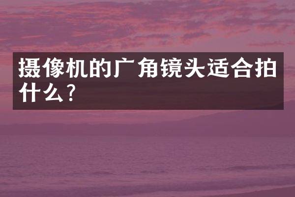 摄像机的广角镜头适合拍什么？