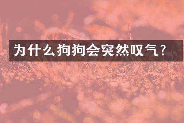 为什么狗狗会突然叹气？