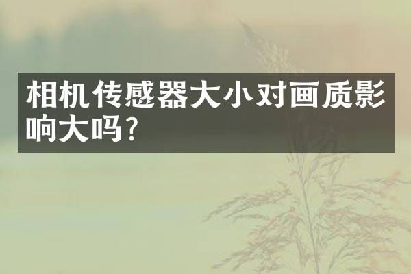 相机传感器大小对画质影响大吗？