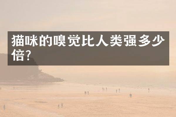 猫咪的嗅觉比人类强多少倍？