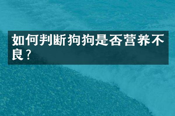 如何判断狗狗是否营养不良？