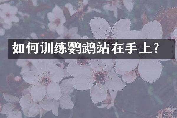 如何训练鹦鹉站在手上？