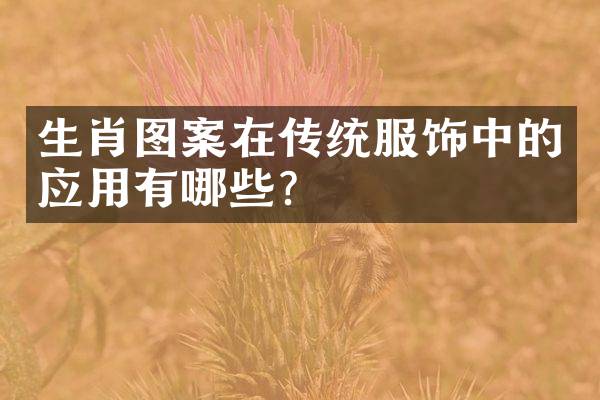 生肖图案在传统服饰中的应用有哪些？