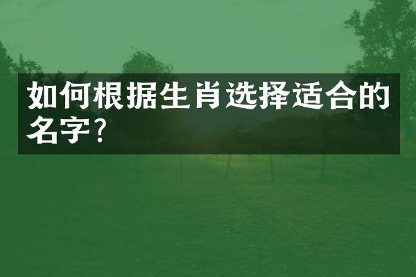 如何根据生肖选择适合的名字？