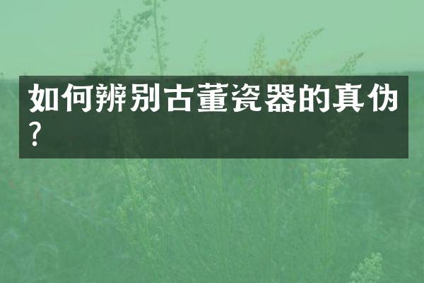 如何辨别古董瓷器的真伪？