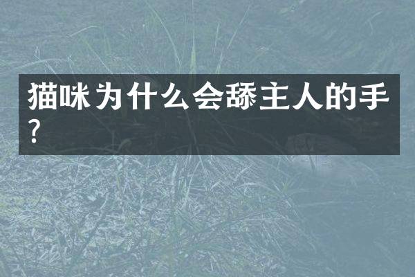 猫咪为什么会舔主人的手？