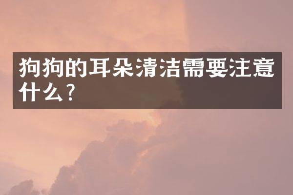 狗狗的耳朵清洁需要注意什么？
