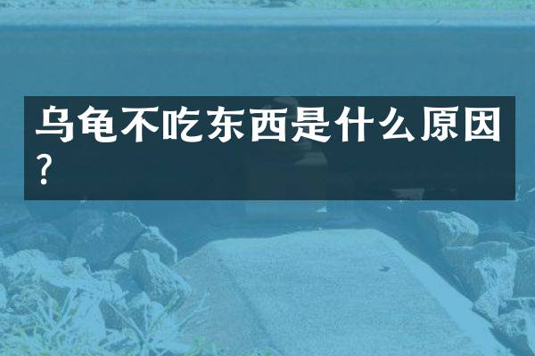 乌龟不吃东西是什么原因？