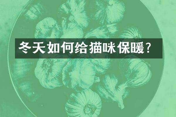 冬天如何给猫咪保暖？