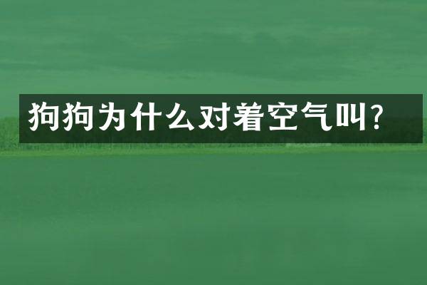 狗狗为什么对着空气叫？