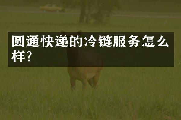 圆通快递的冷链服务怎么样？