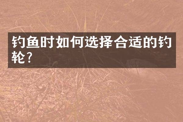 钓鱼时如何选择合适的钓轮？