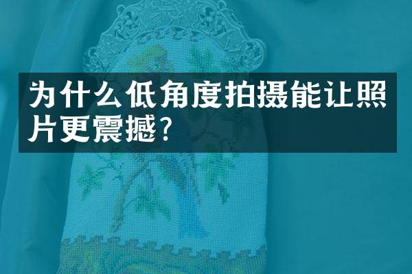 为什么低角度拍摄能让照片更震撼？