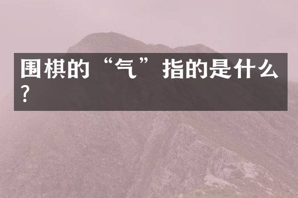 围棋的&ldquo;气&rdquo;指的是什么？