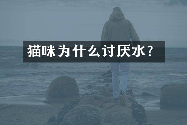 猫咪为什么讨厌水？