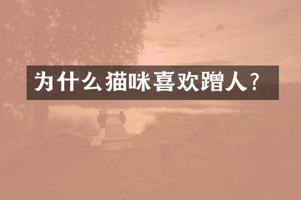 为什么猫咪喜欢蹭人？