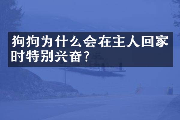 狗狗为什么会在主人回家时特别兴奋？