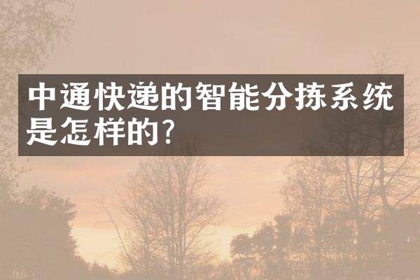 中通快递的智能分拣系统是怎样的？