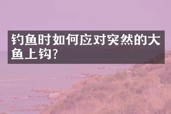 钓鱼时如何应对突然的大鱼上钩？