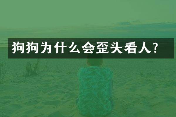 狗狗为什么会歪头看人？