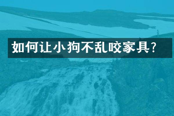 如何让小狗不乱咬家具？
