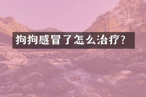 狗狗感冒了怎么治疗？